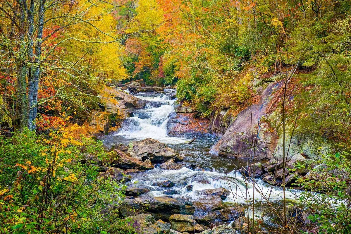 A scenic river bordered by lush, colorful foliage and natural rock formations, offering a peaceful spot for nature walks, photography, and outdoor exploration. The environment is ideal for leisurely strolls or energetic walks with a pet.